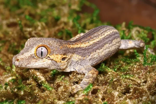 download (90) download 90 1