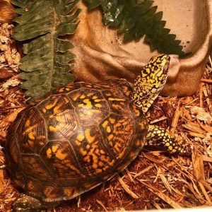 Home 10 WhatsApp Image 2024 06 04 at 5.27.48 PM 600x614 1